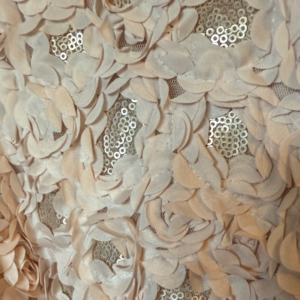 Girls 10 Pink & Violet rose gold champagne pink tutu dress EUC fancy - Picture 3 of 6